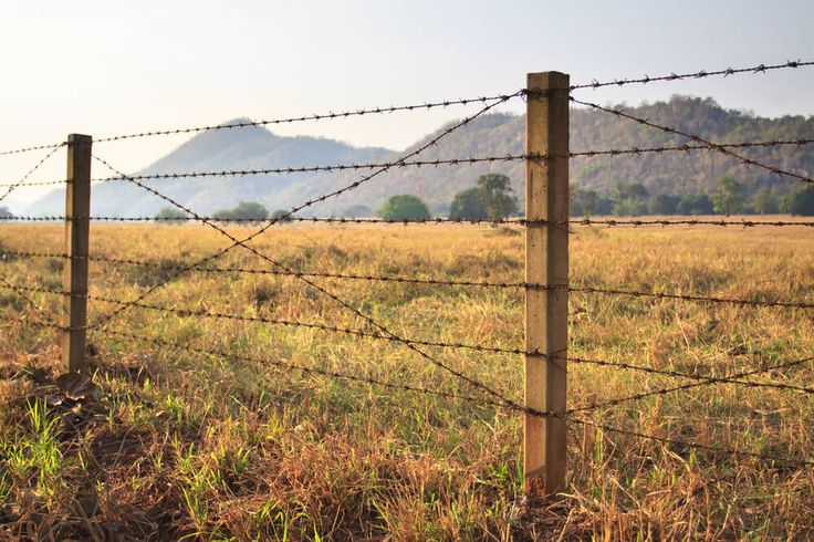 Barbed Wire Fence 2