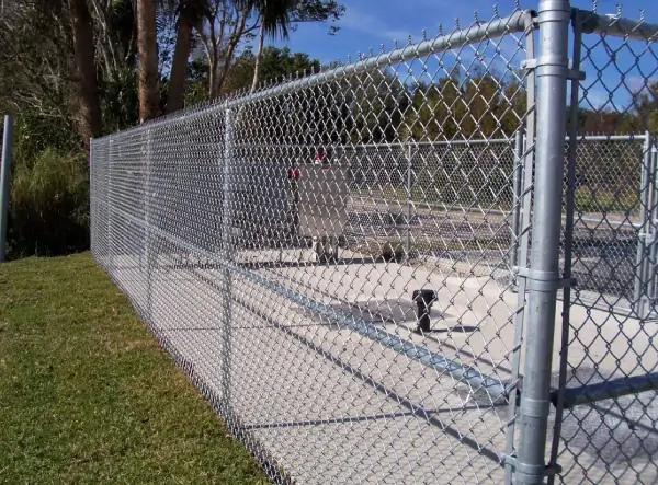 GI/PVC Chain Link Fencing