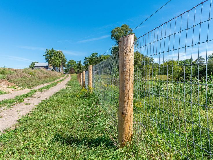 Fence Image